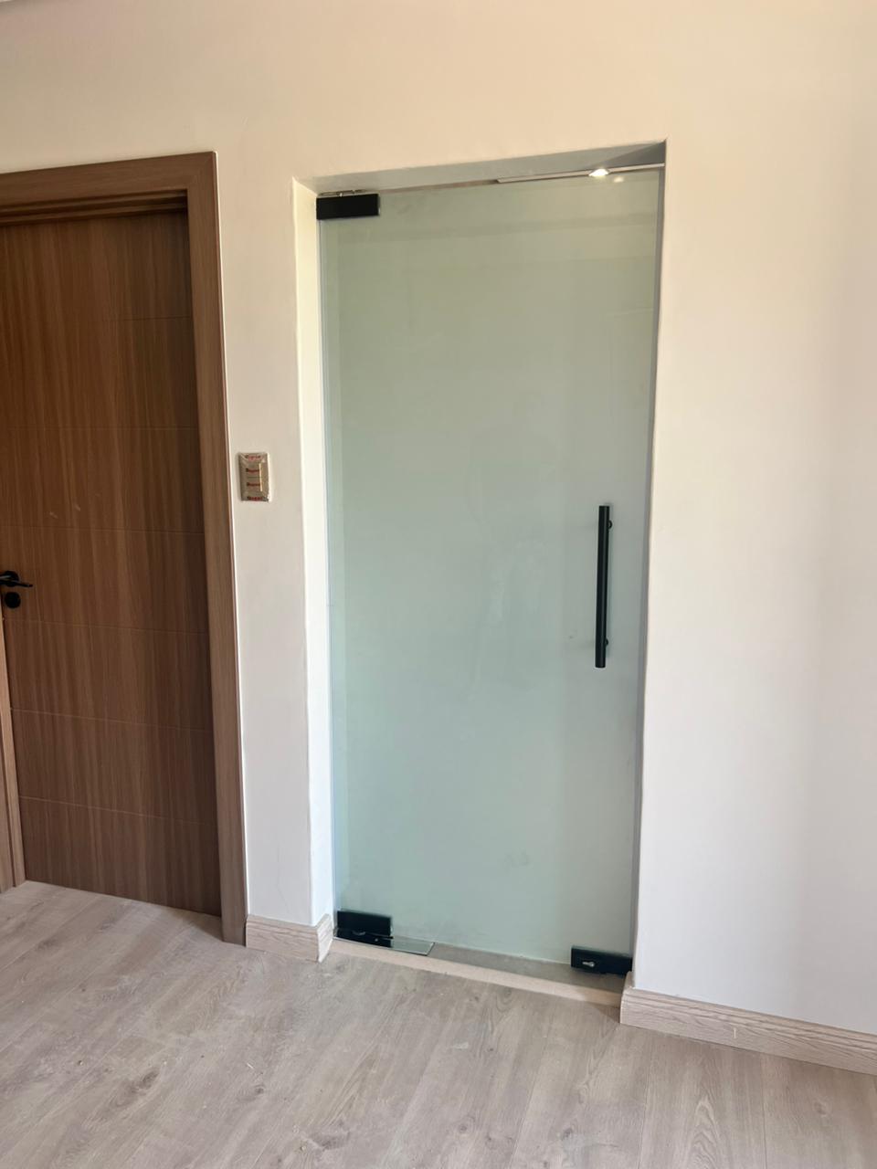 Frameless Glass Shower Door